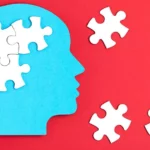 The Cognitive Function of Psychopaths