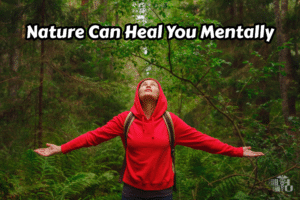 Nature Can Heal You Mentally by Forest Bathing